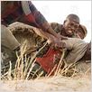 Blood Diamond