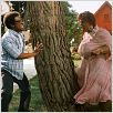Norbit