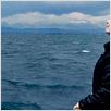 Les Petites Vacances : photo Bernadette Lafont, Olivier Peyon