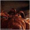 Chasseurs de dragons