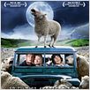 Black Sheep