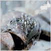 We Feed the World - le marché de la faim