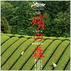 La Forêt de Mogari : affiche Machiko Ono, Naomi Kawase, Shigeki Uda