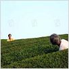 La Forêt de Mogari : photo Machiko Ono, Naomi Kawase, Shigeki Uda