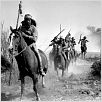 Hondo, l'homme du désert : photo John Farrow