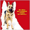 Rintintin