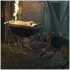 Rintintin : photo Danny Lerner