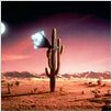 Arizona Dream : photo Emir Kusturica
