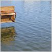 Le Silence avant Bach
