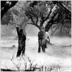 Le Loup-Garou : photo Claude Rains, George Waggner, Lon Chaney Jr.