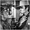 Pendez-les haut et court : photo Clint Eastwood, Ted Post