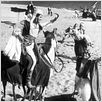 Le Cheik blanc : photo Alberto Sordi, Federico Fellini