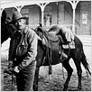 La Cible humaine : photo Gregory Peck, Henry King
