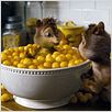 Alvin et les Chipmunks