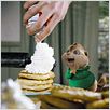 Alvin et les Chipmunks