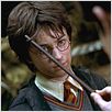 Harry Potter et la chambre des secrets : photo Chris Columbus, Daniel Radcliffe