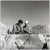 Amere Victoire : photo Nicholas Ray
