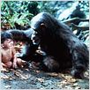 Greystoke, la légende de Tarzan : photo Hugh Hudson