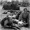 Guadalcanal : photo Lewis Seiler