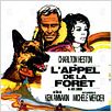 L'Appel de la forêt : affiche Ken Annakin