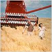 Carnage : photo Lee Marvin, Michael Ritchie
