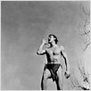 Tarzan, l'homme singe : photo Johnny Weissmuller, W.S. Van Dyke