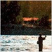 Et au milieu coule une rivière : photo Robert Redford