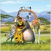 Madagascar 2