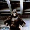 King Kong II : photo John Guillermin