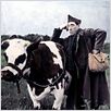 La Vache et le prisonnier : photo Fernandel, Henri Verneuil
