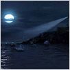 Festin de requin : photo