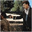 Pas d'orchidées pour Miss Blandish : photo Robert Aldrich, Scott Wilson