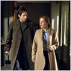 X Files - Régénération