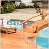 Le Chihuahua de Beverly Hills