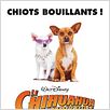 Le Chihuahua de Beverly Hills