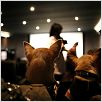 [Multi3]Le Chihuahua de Beverly Hills |FRENCH|[DVDRiP]