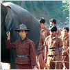 Sunny et l'éléphant : photo Frédéric Lepage, Olivier Horlait