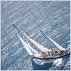 Tabarly