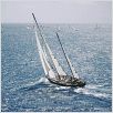 Tabarly