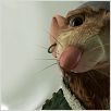La Légende de Despereaux