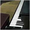 Piano Forest : photo Masayuki Kojima