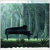 Piano Forest : photo Masayuki Kojima