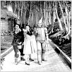 Le Magicien d'Oz : photo Victor Fleming