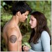 Twilight - Chapitre 2 : tentation