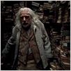 Harry Potter et les reliques de la mort - partie 1 : photo David Yates, Rade Serbedzija