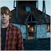 Harry Potter et les reliques de la mort - partie 1 : photo David Yates, Rupert Grint
