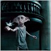 Harry Potter et les reliques de la mort - partie 1 : photo David Yates