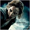 Harry Potter et les reliques de la mort - partie 1 : affiche David Yates