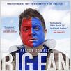 Big Fan : affiche Robert D. Siegel