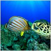 Voyage sous les mers 3D